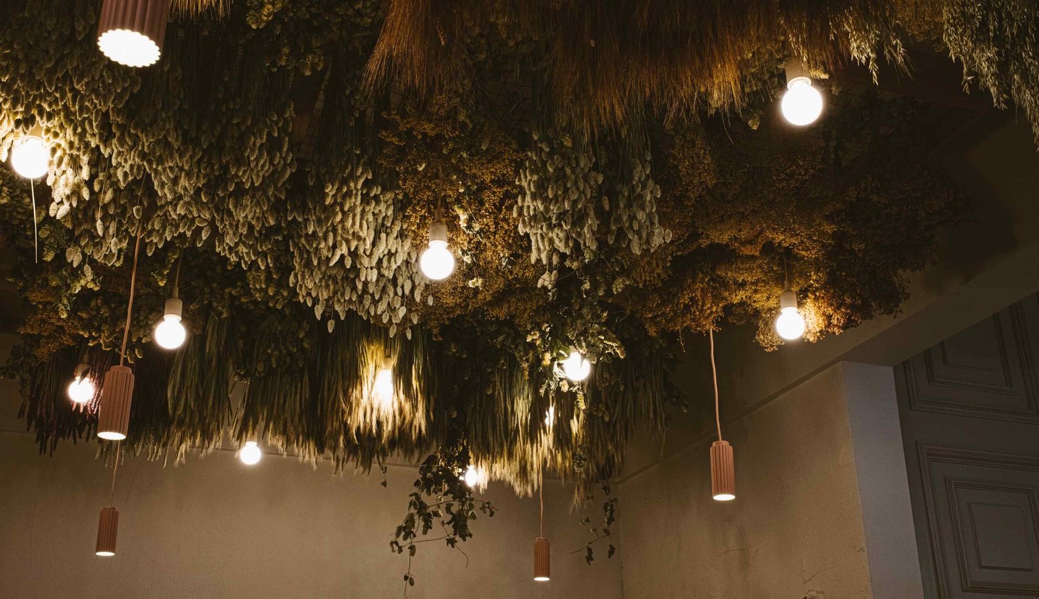 Foliage trained across the ceiling of Hendersons